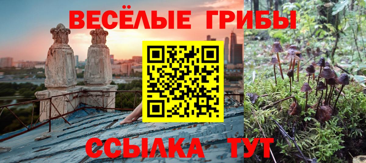 Галлюциногенные грибы MAGIC MUSHROOMS Малоярославец