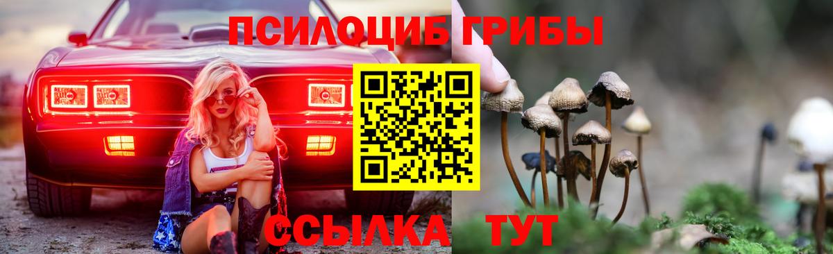 Псилоцибиновые грибы мухоморы  Псилоцибиновые грибы мухоморы  Вход с VPN  Малоярославец 